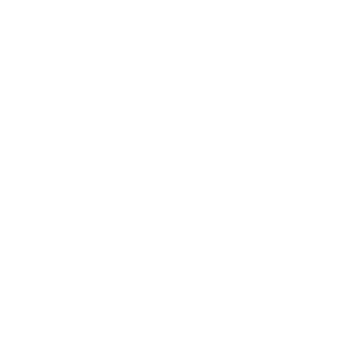 MISSION